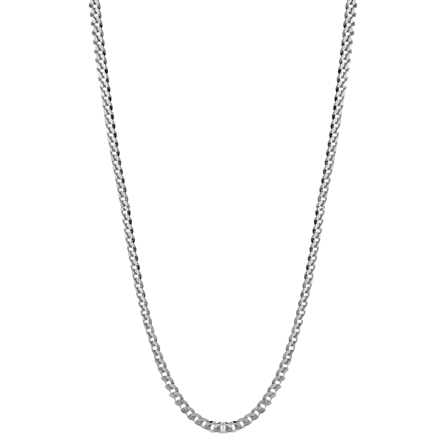 Alisa Curb Chain Silver Necklace