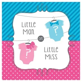 Baby Shower - 'Bow Or Bowtie?' Lunch Napkins (16ct)