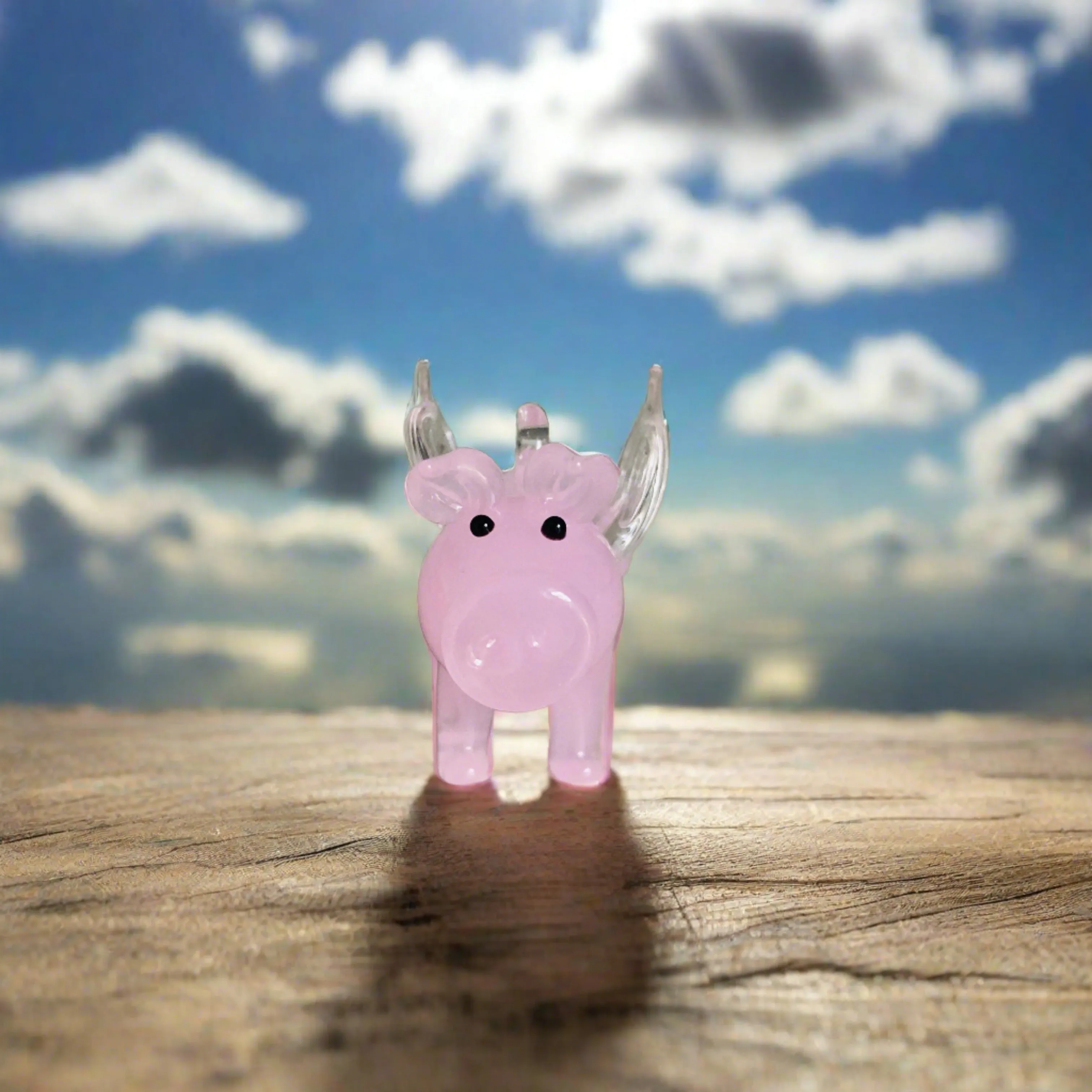 Flying Pig forward 269