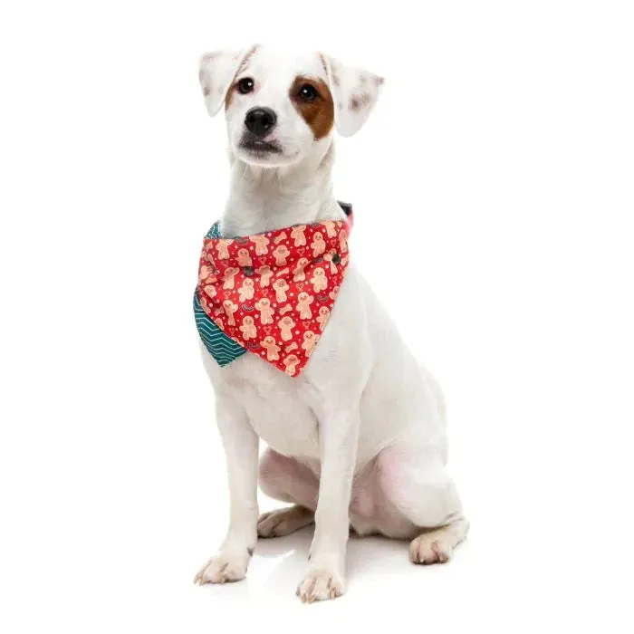 FuzzYard Christmas Holly Jolly Cookies Dog Bandana and Bow Tie Set Medium to Large