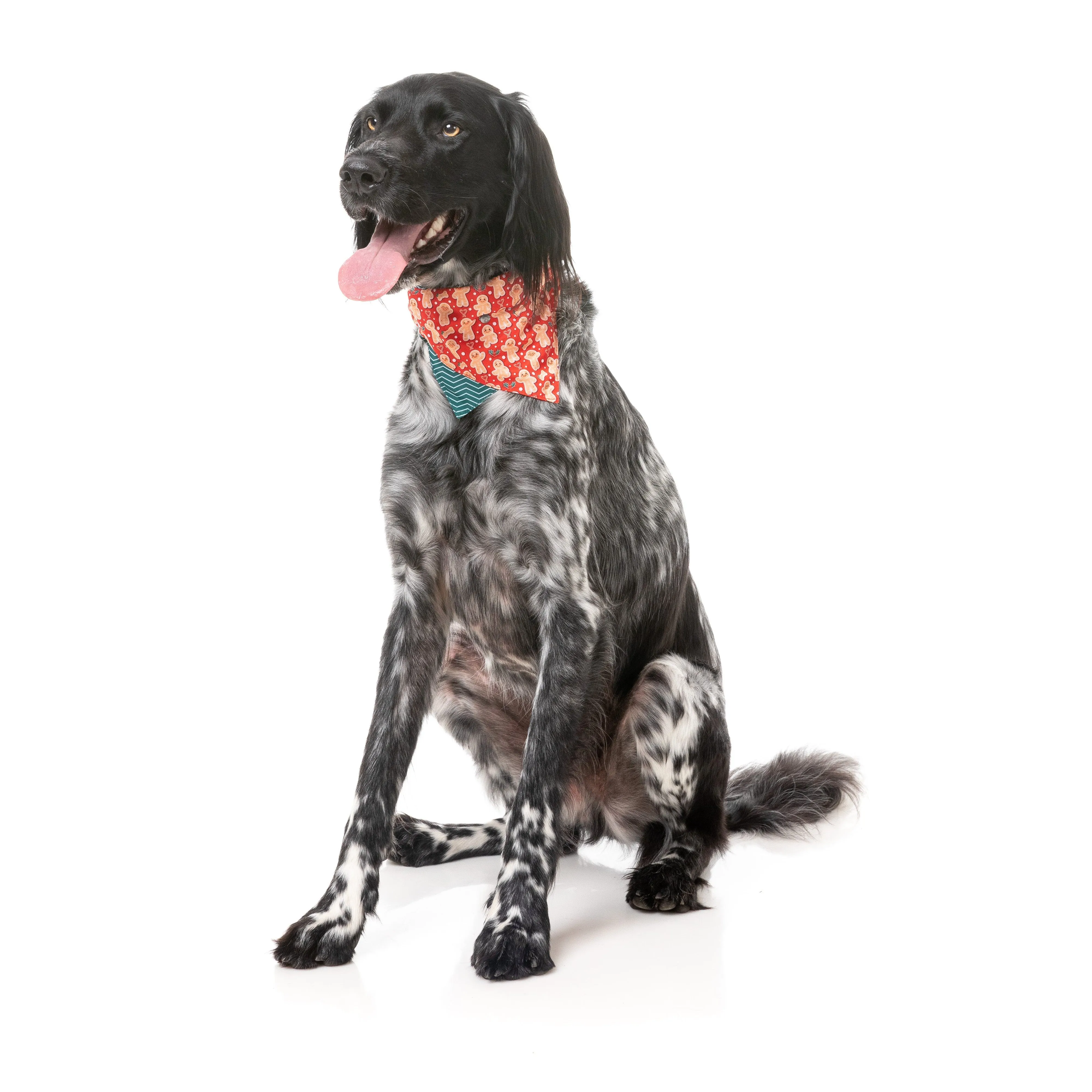 FuzzYard Christmas Holly Jolly Cookies Dog Bandana and Bow Tie Set Medium to Large