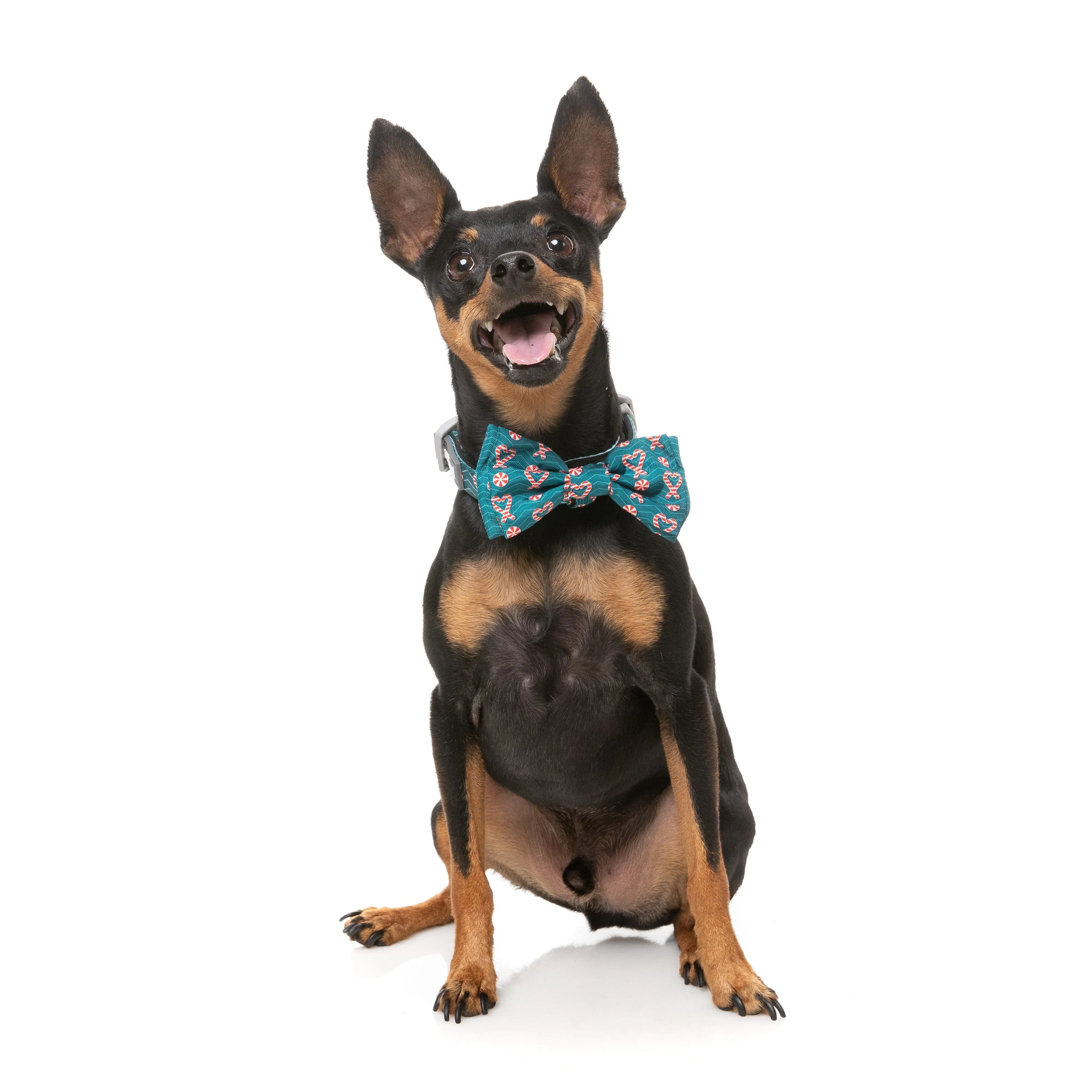 FuzzYard Christmas I Heart Candy Canes Dog Bandana and Bow Tie Set Small to Medium