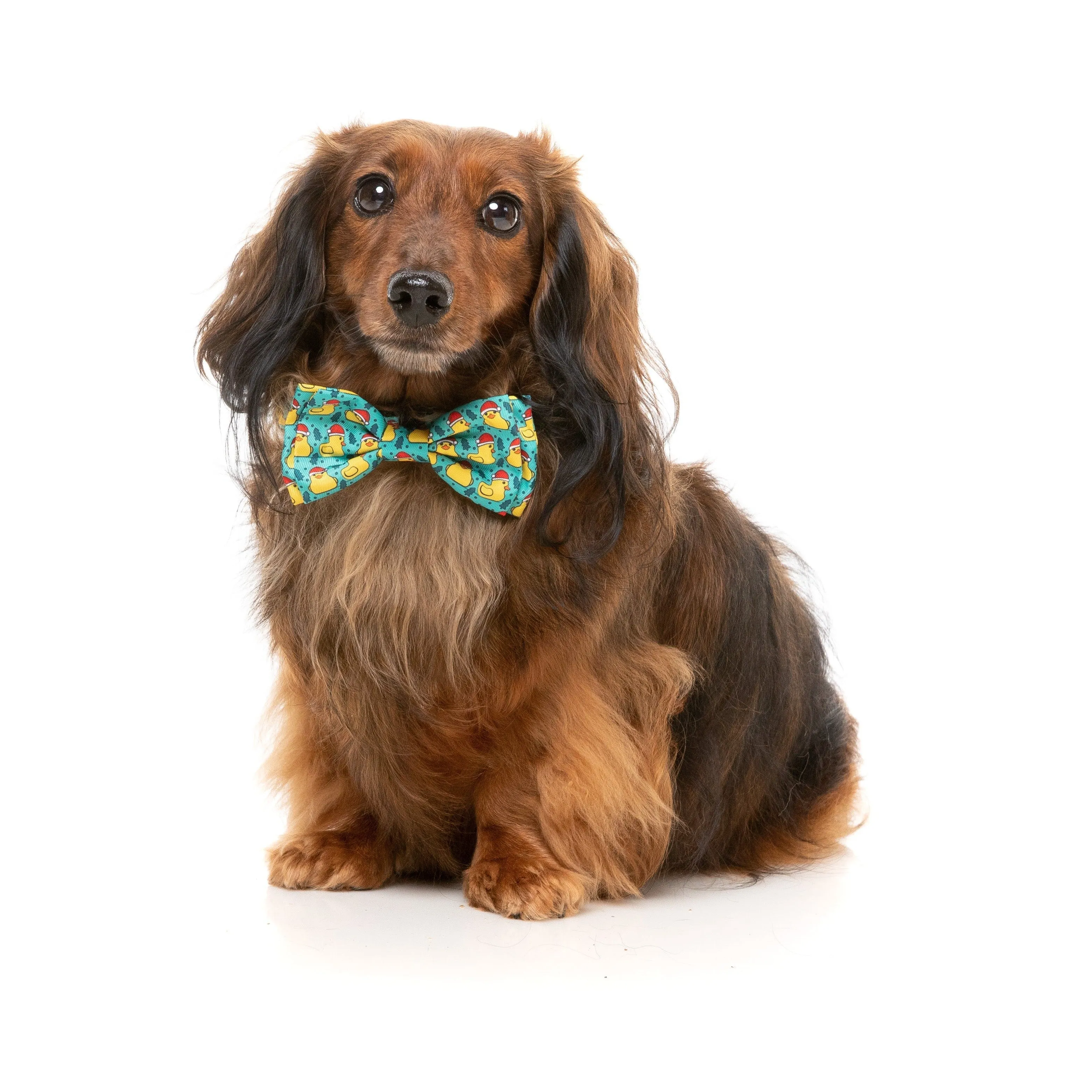 FuzzYard Christmas Merry Quackmas Dog Bandana and Bow Tie Set Medium to Large