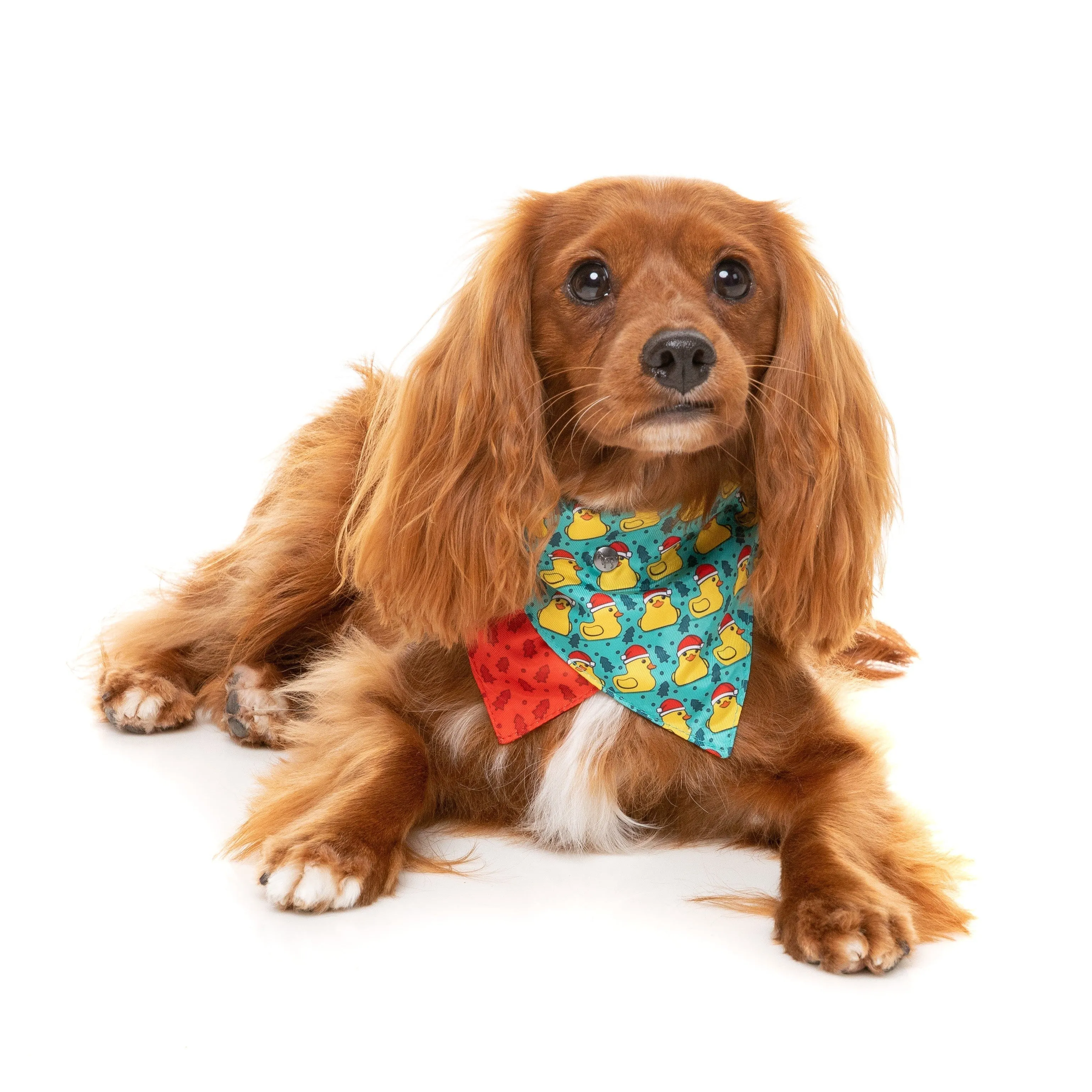 FuzzYard Christmas Merry Quackmas Dog Bandana and Bow Tie Set Medium to Large