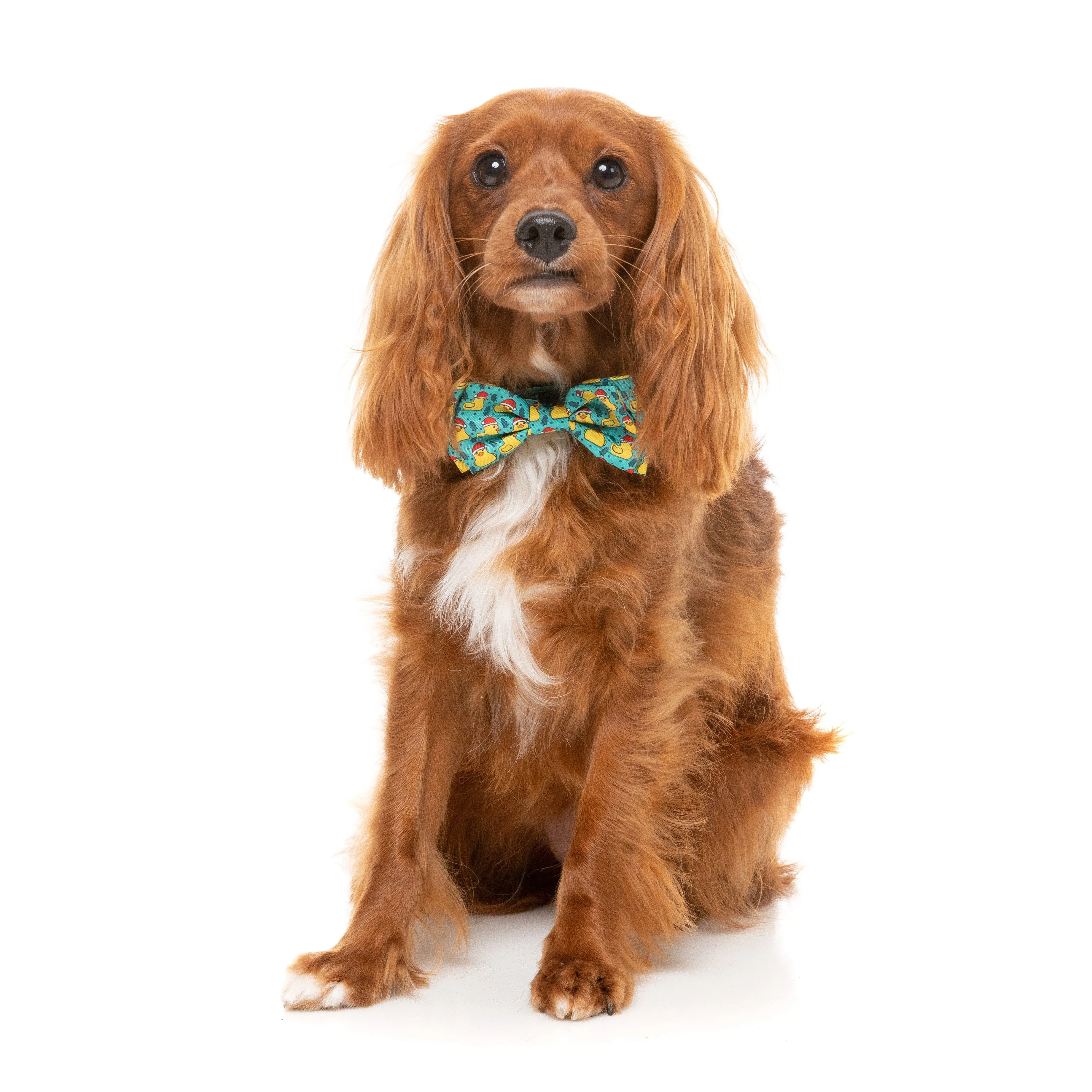 FuzzYard Christmas Merry Quackmas Dog Bandana and Bow Tie Set Small to Medium