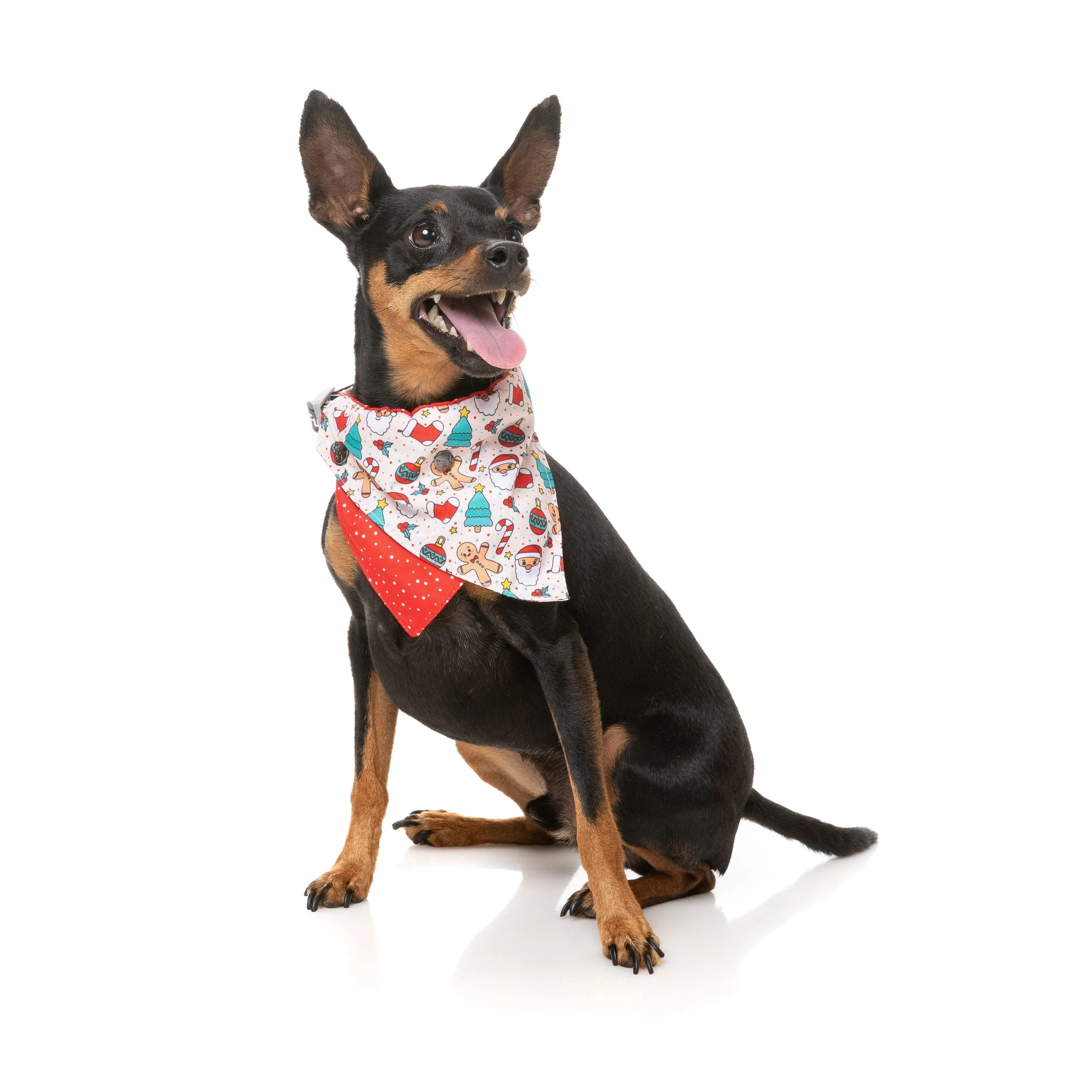 FuzzYard Christmas Tinsel Time Dog Bandana and Bow Tie Set Small to Medium