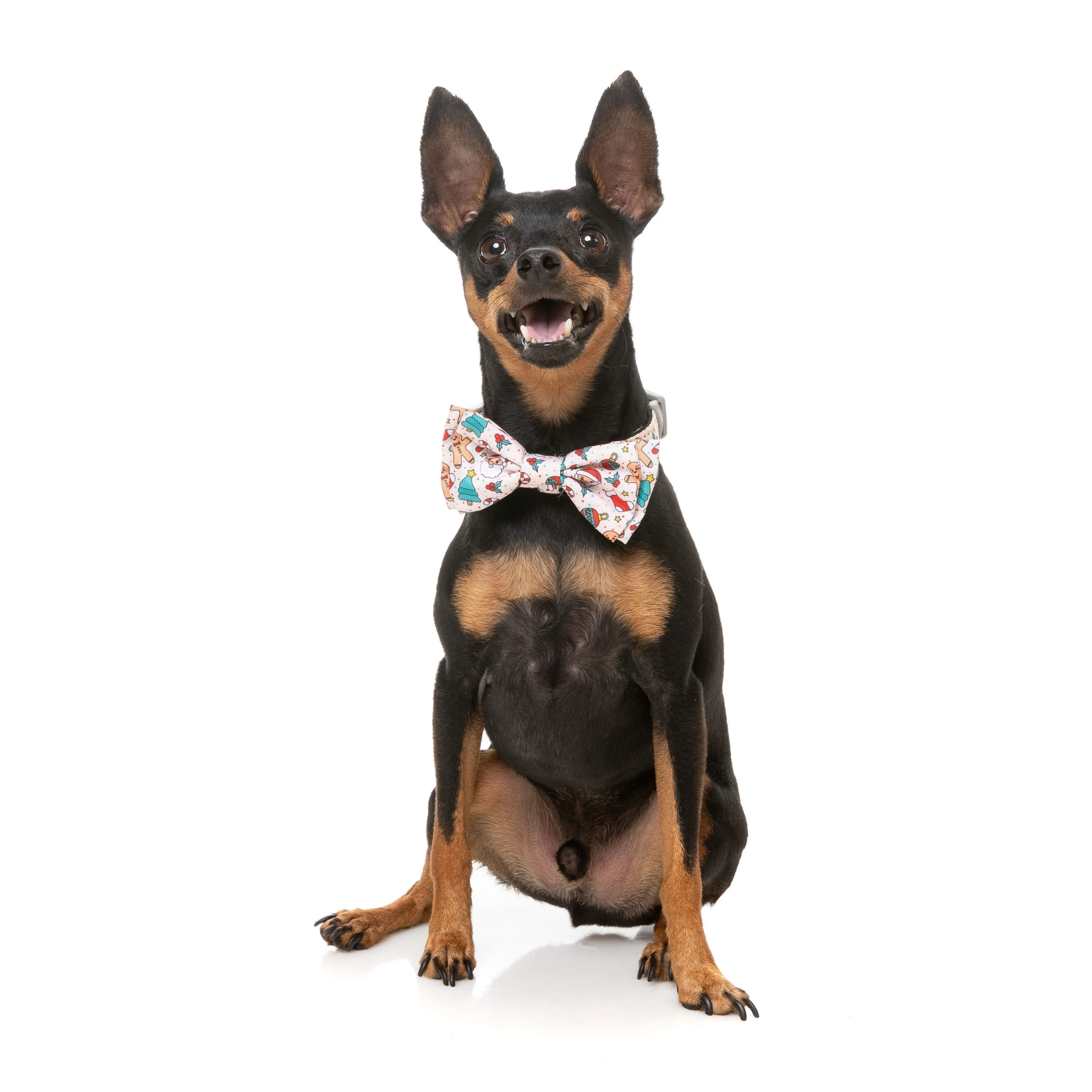FuzzYard Christmas Tinsel Time Dog Bandana and Bow Tie Set Small to Medium